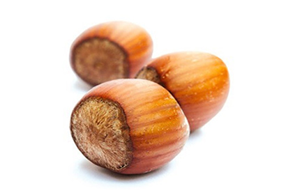 noisette avec coque