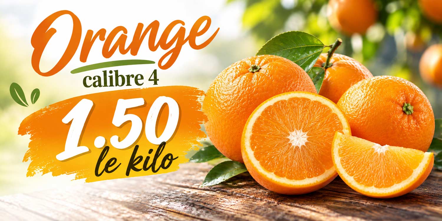 Affiche-promotionnelle-d’oranges-fraîches
